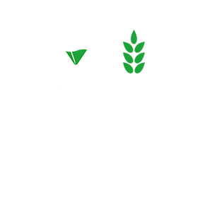 elisio-per-sito