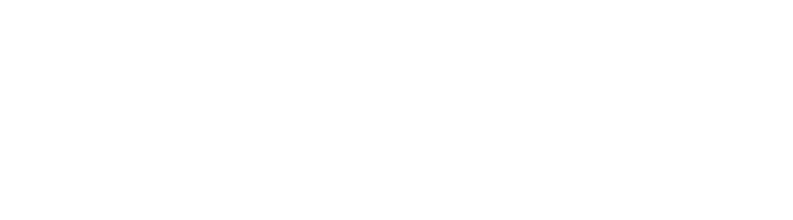 Logo Nitrocolor